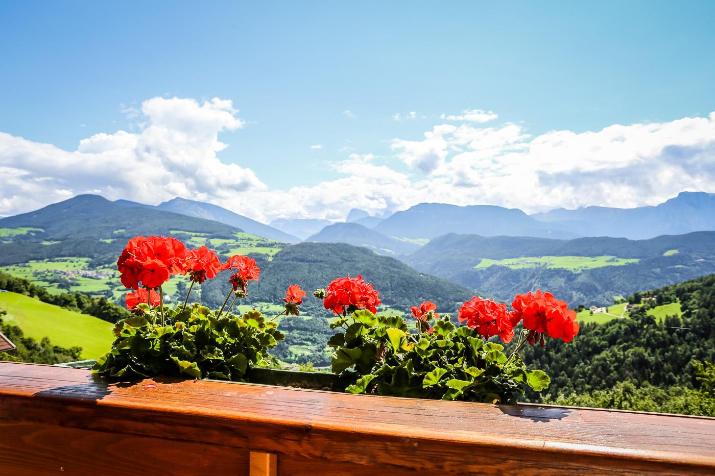 Fac3d6cf1f98f34ac71d358d80fc2dc2