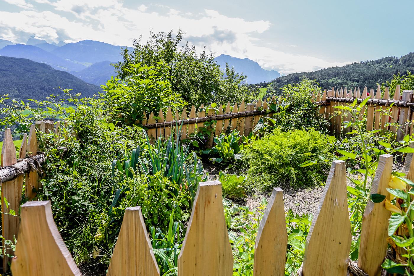 9Ea6e1bfbabcfd6db14a8dfc50e8a1d3