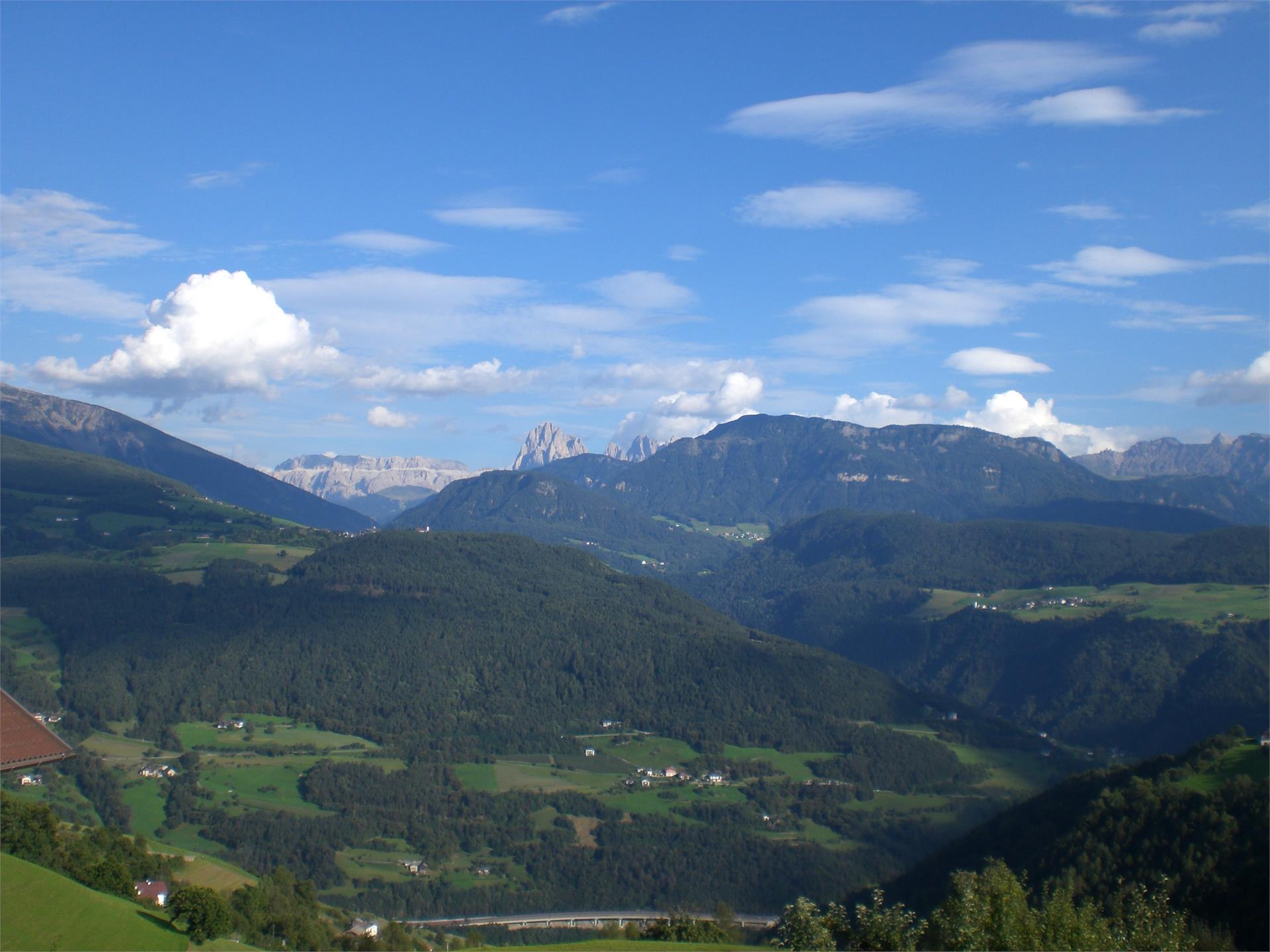 29D972ac494dc8257a430cf6d7d567b0 (1)