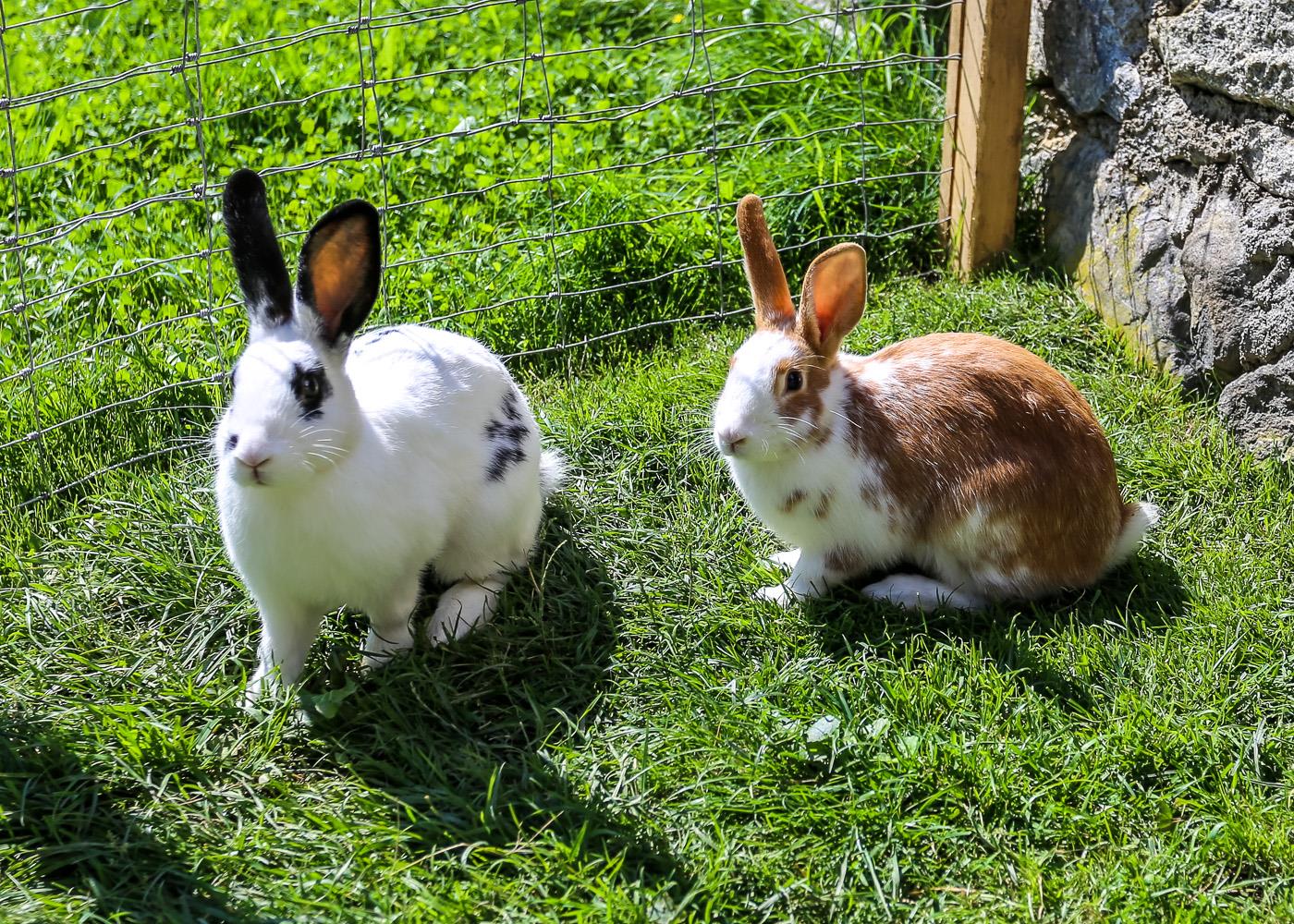 0737927Badd3136b28edd3a8a7b2bfd4