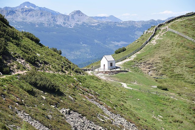 42723401195 4B6fca774c Z